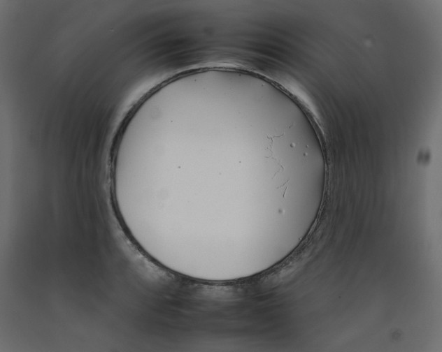 X0000092261088200710121334