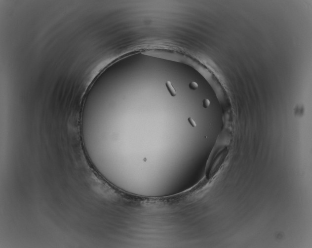 X0000092261089200710121334