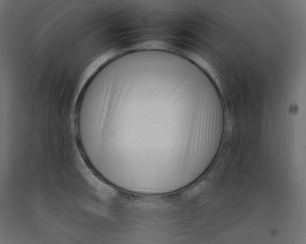 X0000092261090200710121334