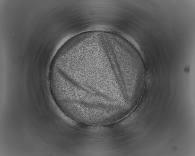 X0000092261091200710121334