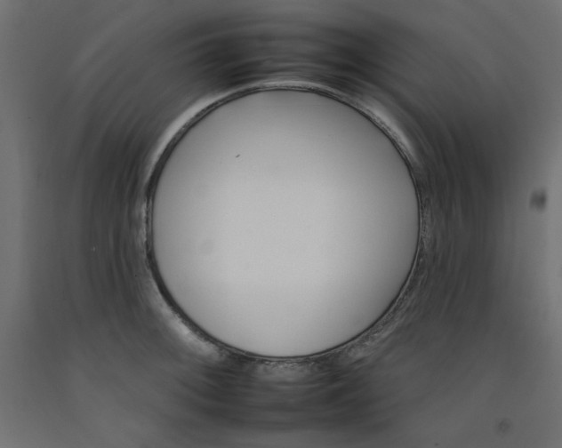 X0000092261092200710121334