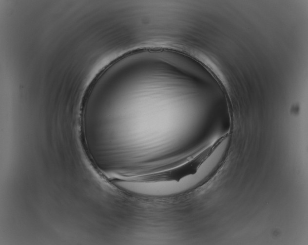 X0000092261093200710121334