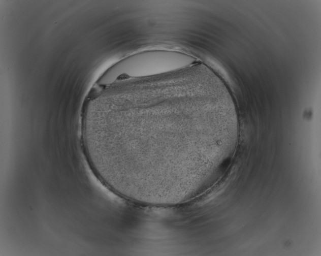 X0000092261095200710121334