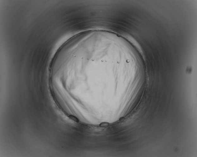 X0000092261096200710121334