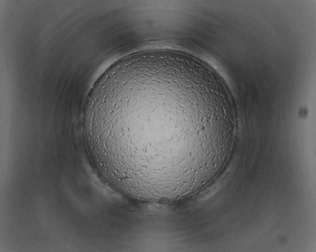 X0000092261097200710121334