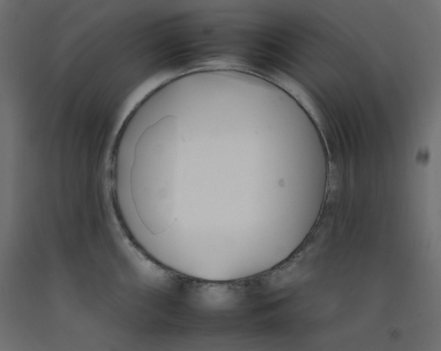 X0000092261098200710121334