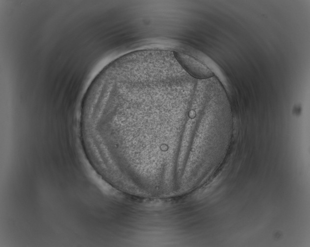 X0000092261099200710121334