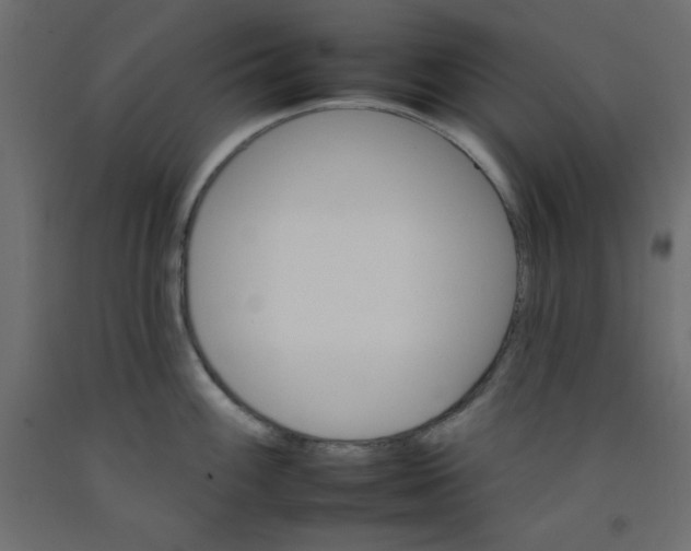 X0000092261100200710121334