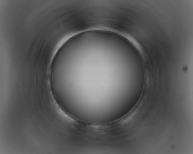 X0000092261102200710121334