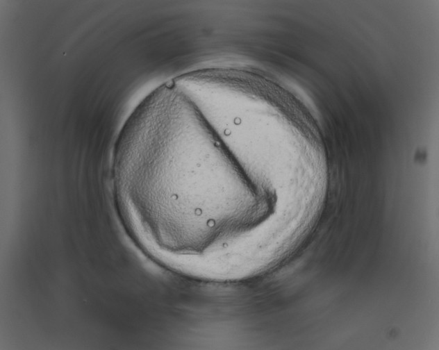 X0000092261103200710121334