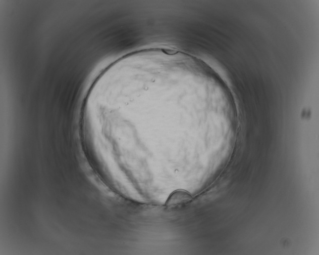 X0000092261104200710121334