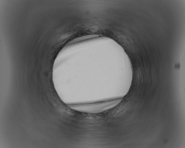 X0000092261105200710121333