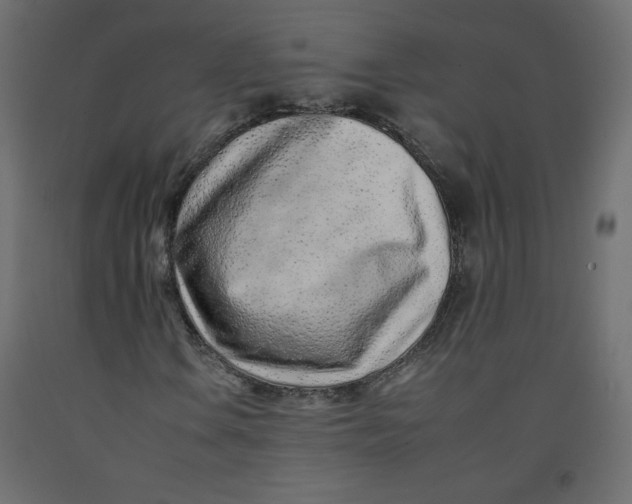 X0000092261106200710121333