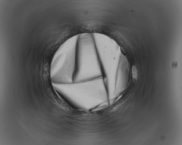 X0000092261107200710121333