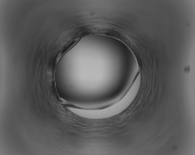 X0000092261108200710121333