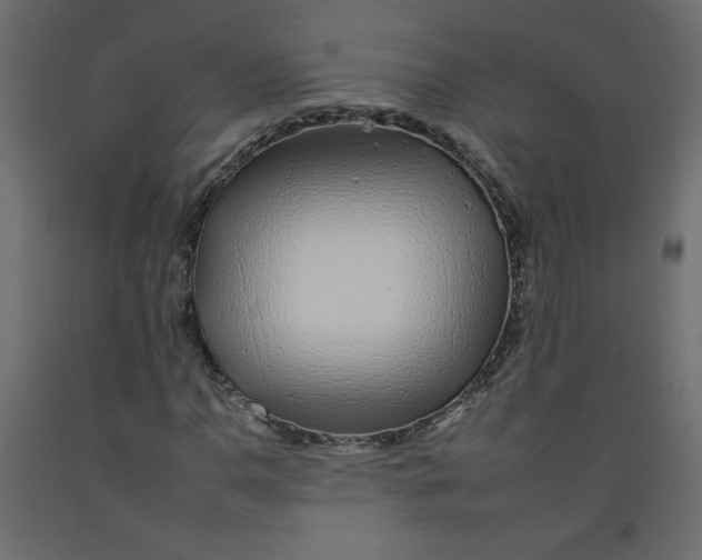 X0000092261110200710121333