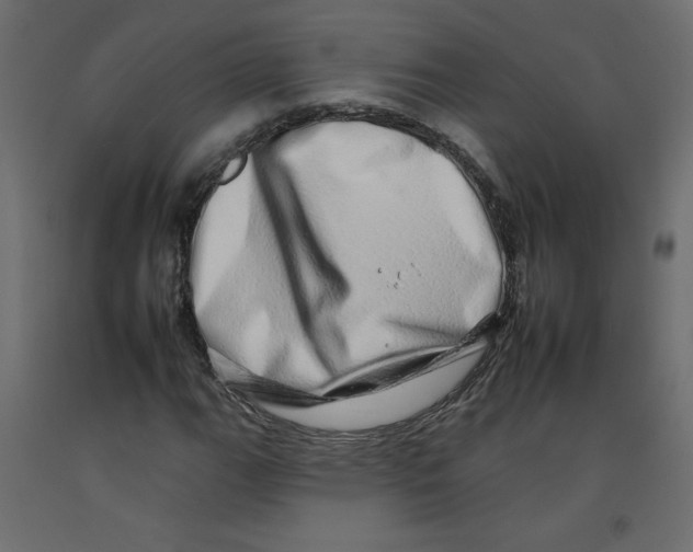 X0000092261111200710121333