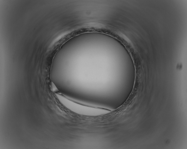 X0000092261112200710121333