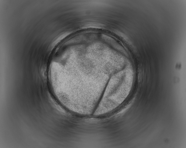 X0000092261113200710121333