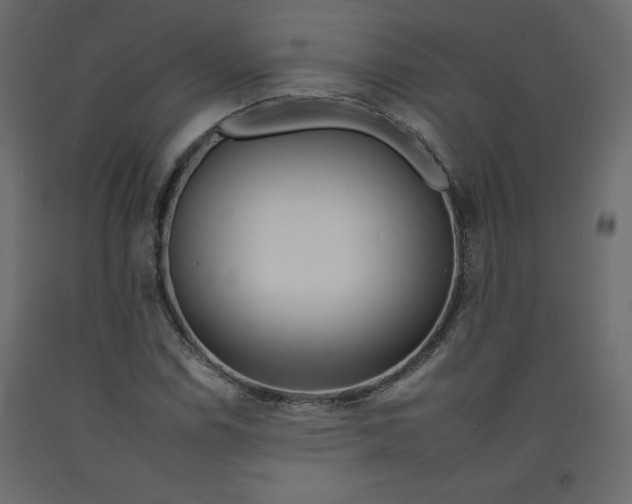 X0000092261114200710121333