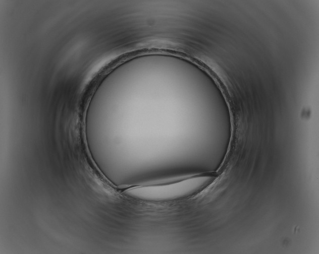 X0000092261115200710121333