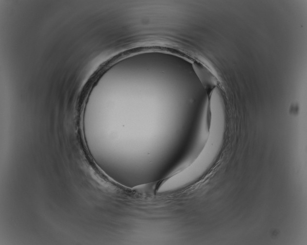 X0000092261116200710121333