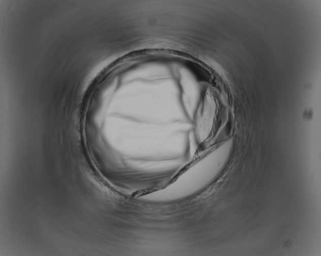 X0000092261120200710121333