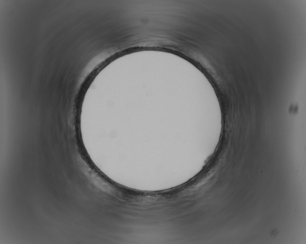 X0000092261122200710121333