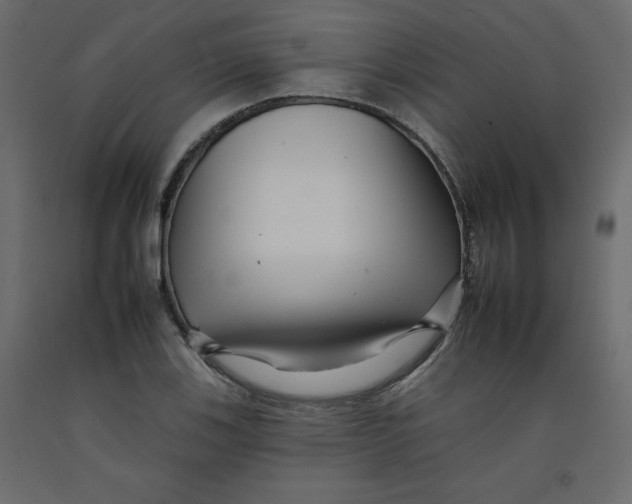 X0000092261123200710121333