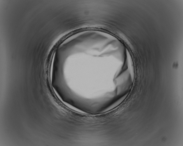 X0000092261124200710121333