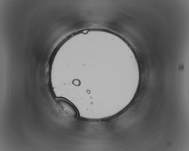 X0000092261126200710121333