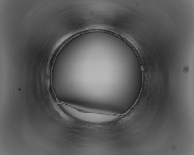 X0000092261127200710121333