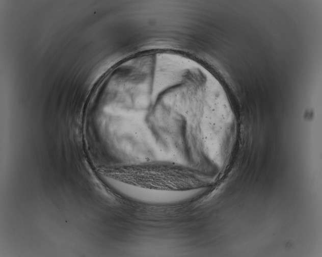 X0000092261129200710121333