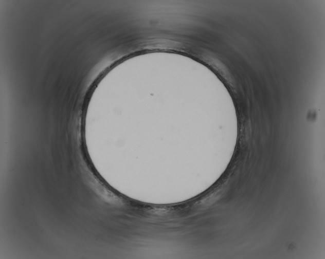 X0000092261130200710121333