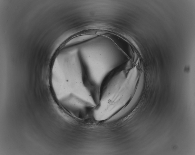 X0000092261131200710121333