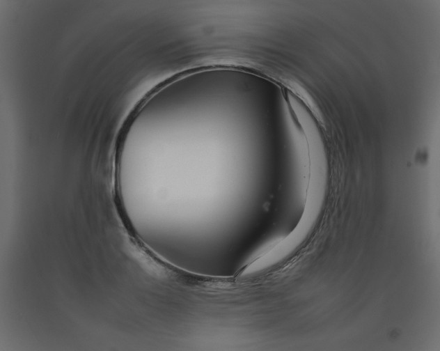 X0000092261132200710121334