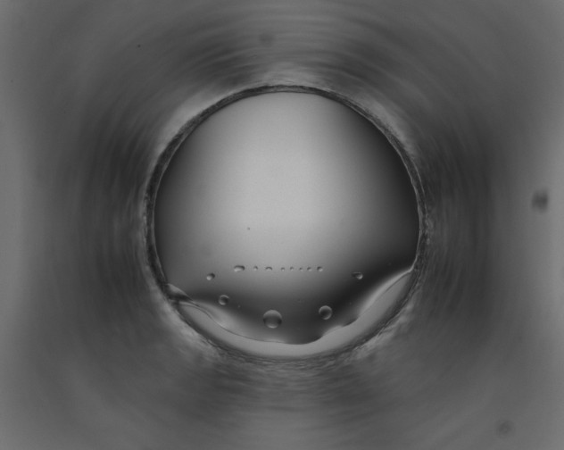 X0000092261133200710121334