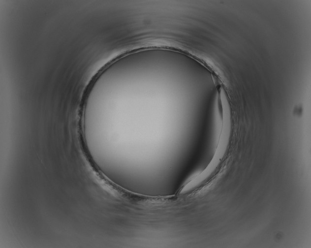 X0000092261134200710121334