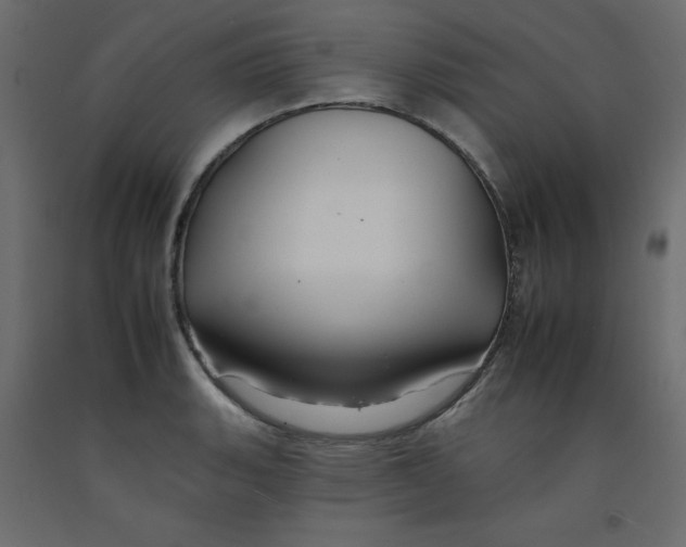 X0000092261135200710121334