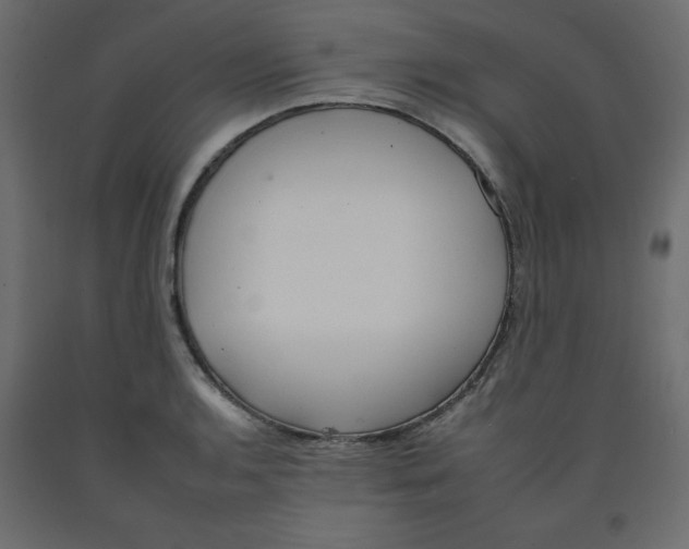 X0000092261136200710121334