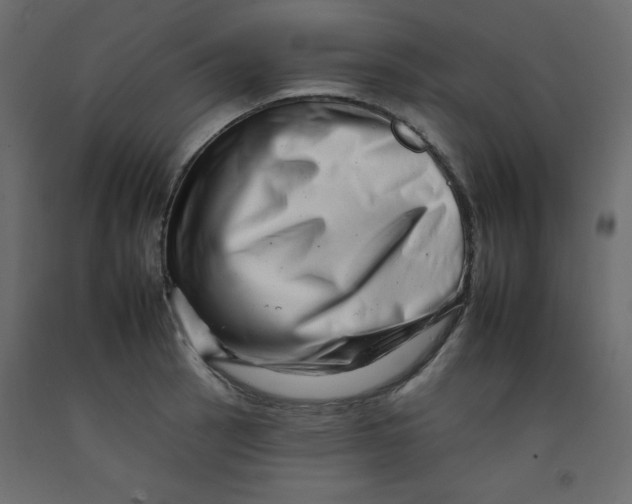 X0000092261137200710121334