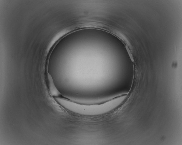 X0000092261138200710121334