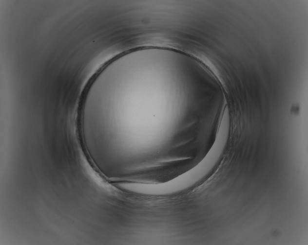 X0000092261139200710121334