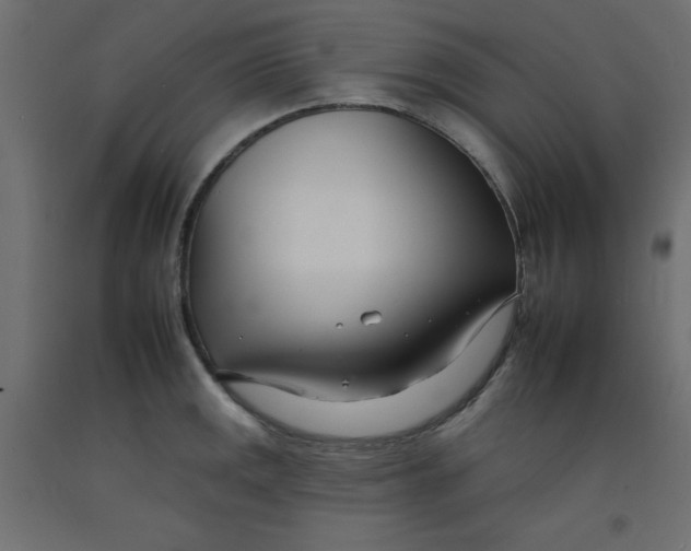 X0000092261141200710121334