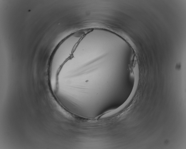 X0000092261142200710121334