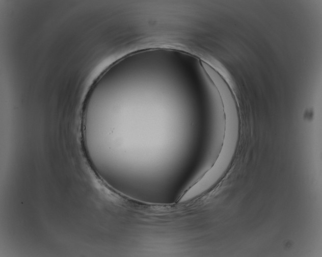 X0000092261144200710121334