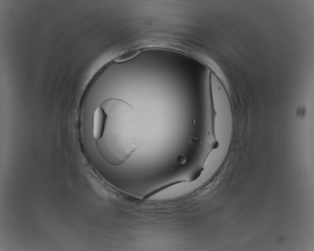 X0000092261146200710121334