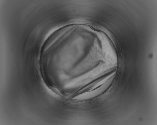 X0000092261147200710121334