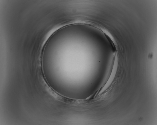 X0000092261148200710121334