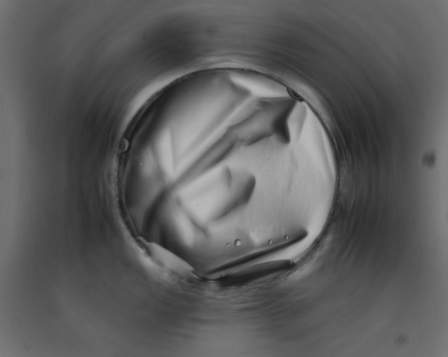 X0000092261149200710121334